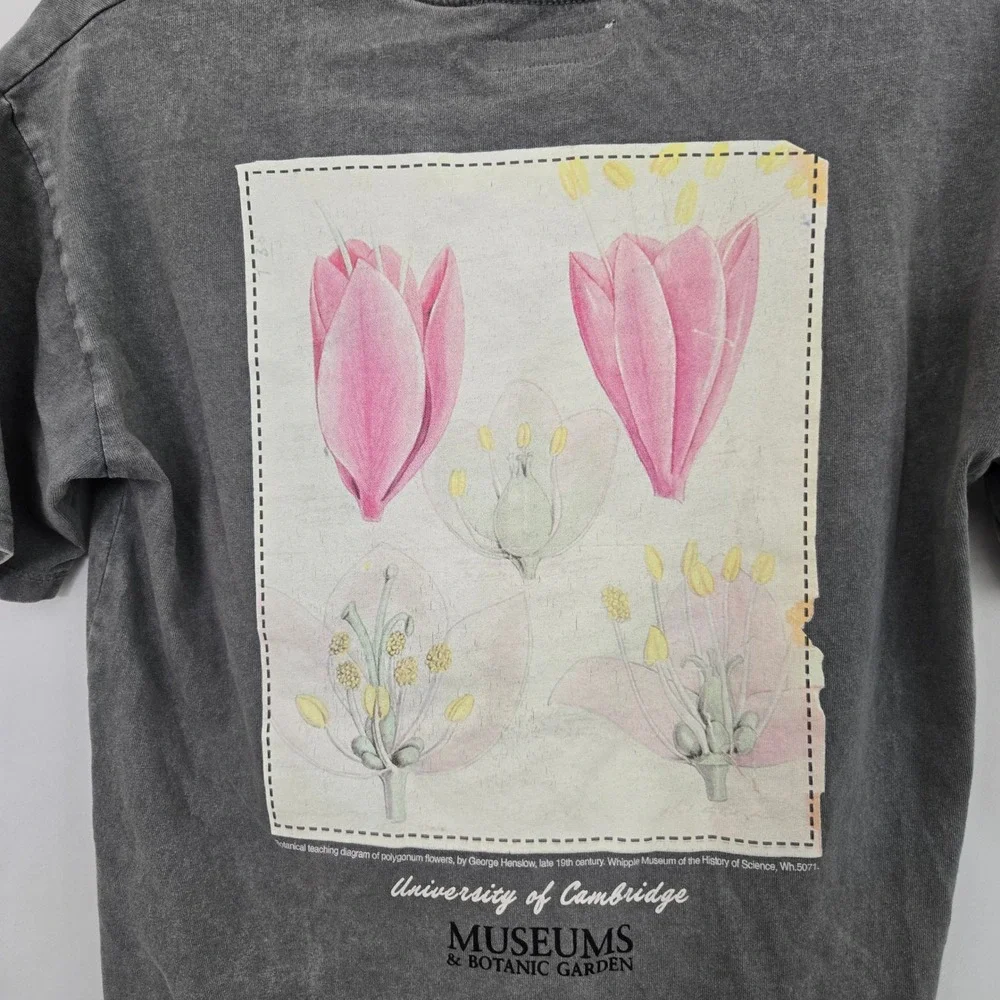 Zara Cambridge Botanic Garden Boxy Cropped Graphic Tee‎ Womens XS or Kids 11-12